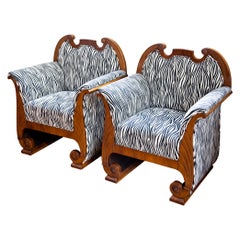 Pair of Biedermeier Bergere Chairs, Danube Monarchy, circa 1830