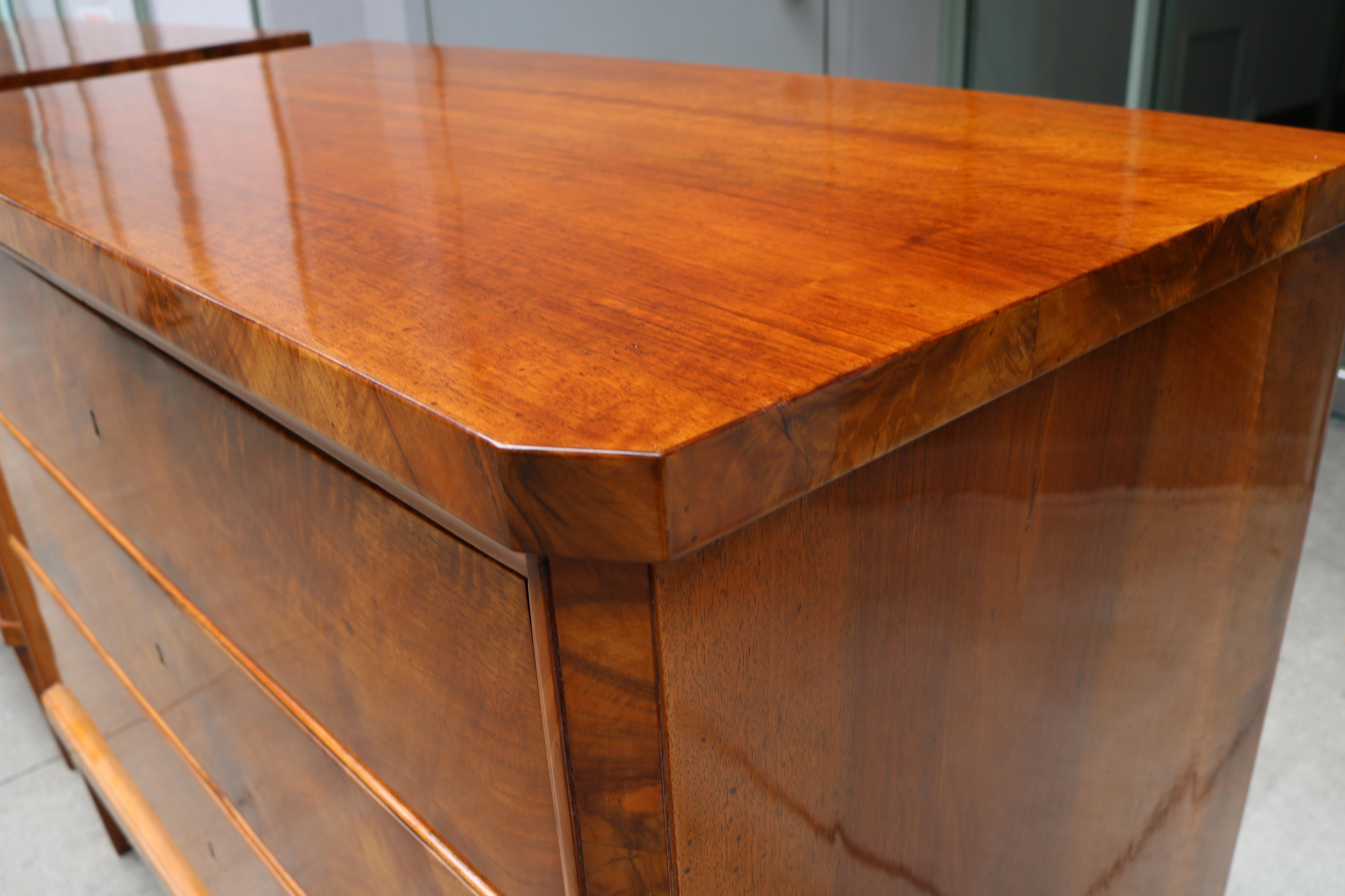 Pair of Biedermeier Chests 19th Century 1