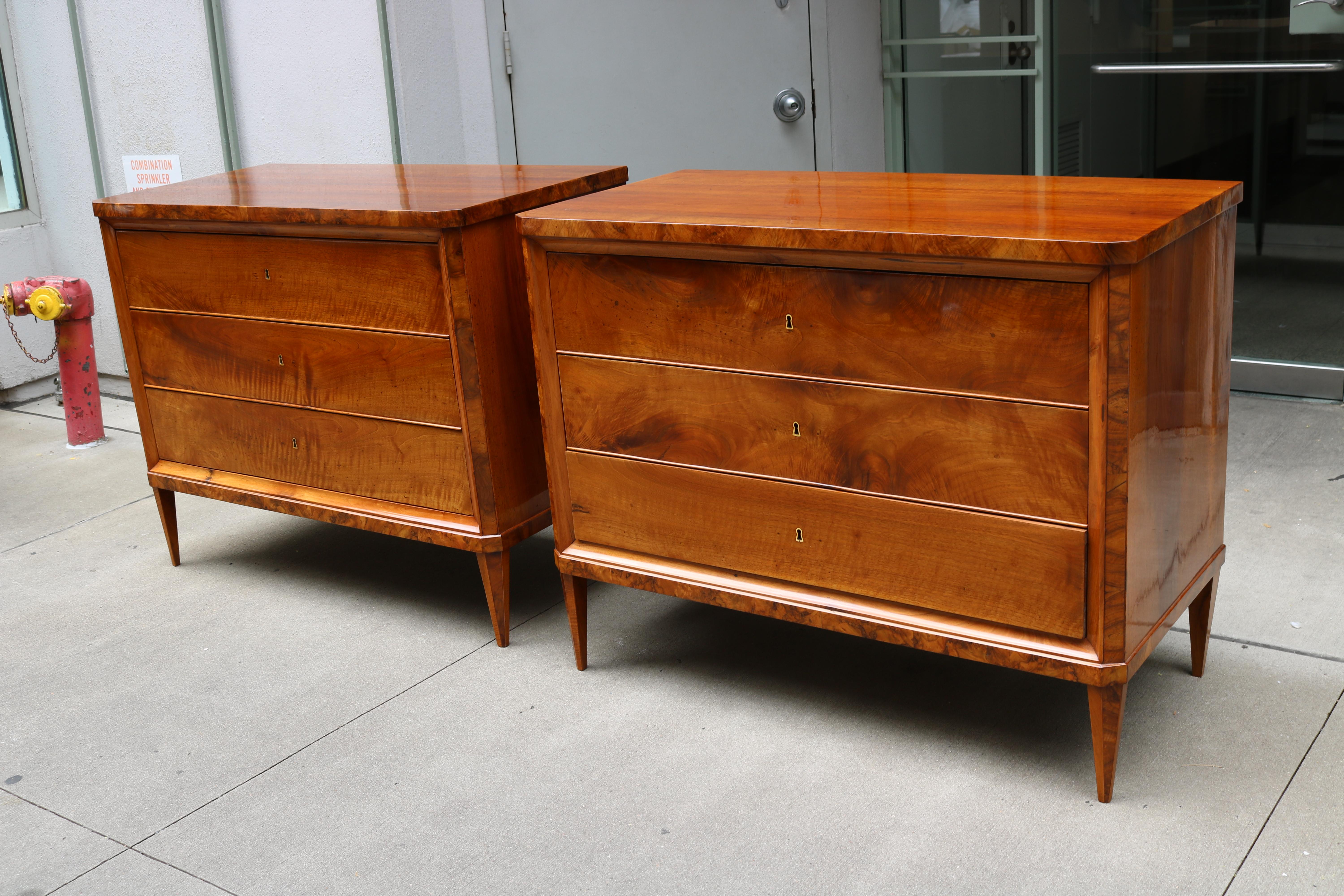 Pair of Biedermeier Chests 19th Century For Sale 3