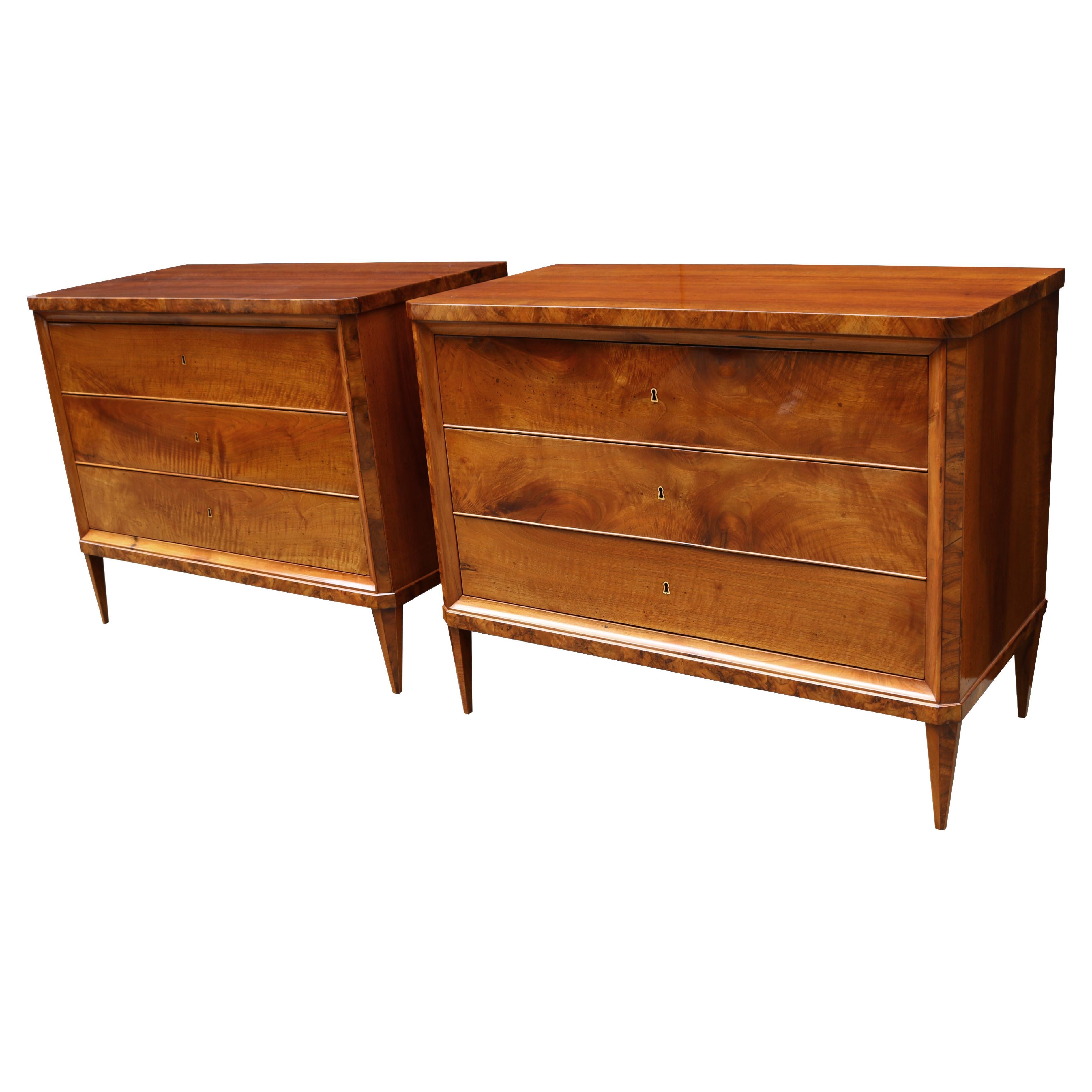 Pair of Biedermeier Chests 19th Century For Sale