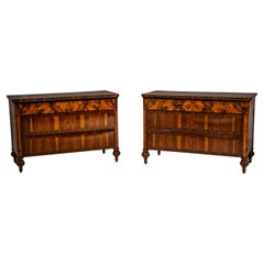 Pair of Biedermeier Chests of Drawers, Italy, 19th Century