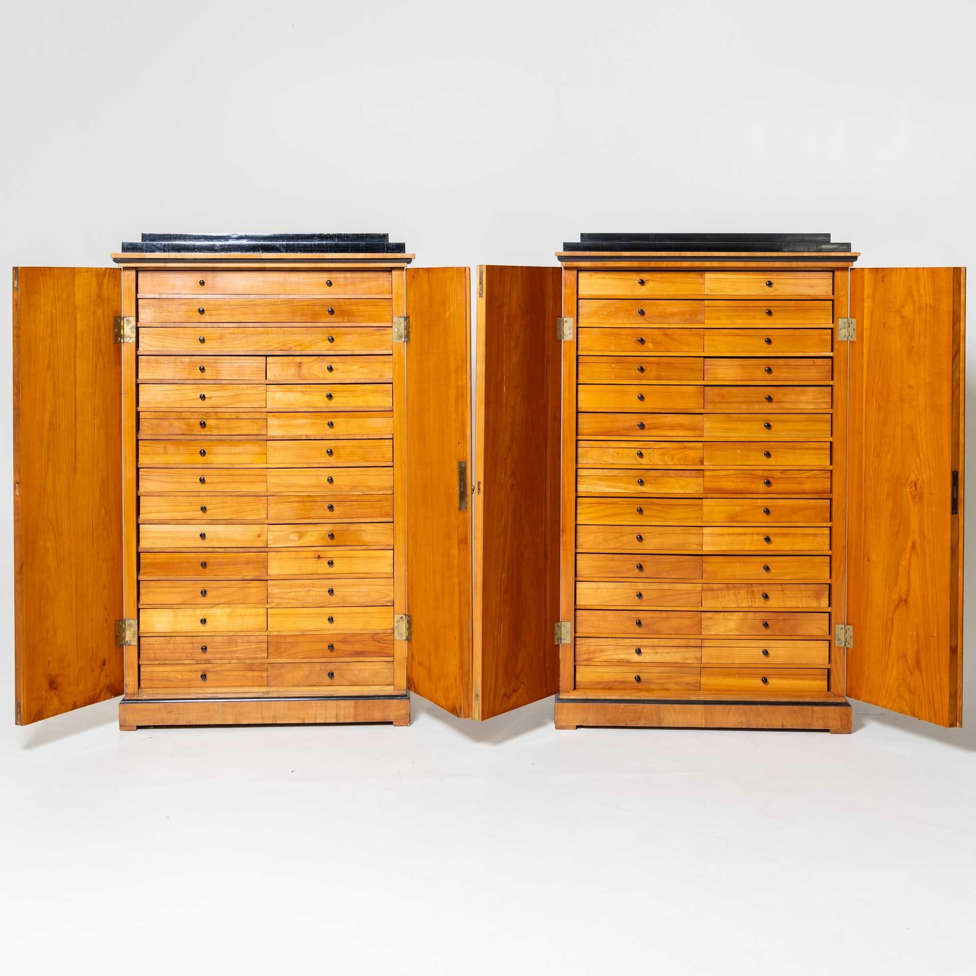 Pair of Biedermeier Collection Cabinets, Germany, probably Munich, c. 1820 2