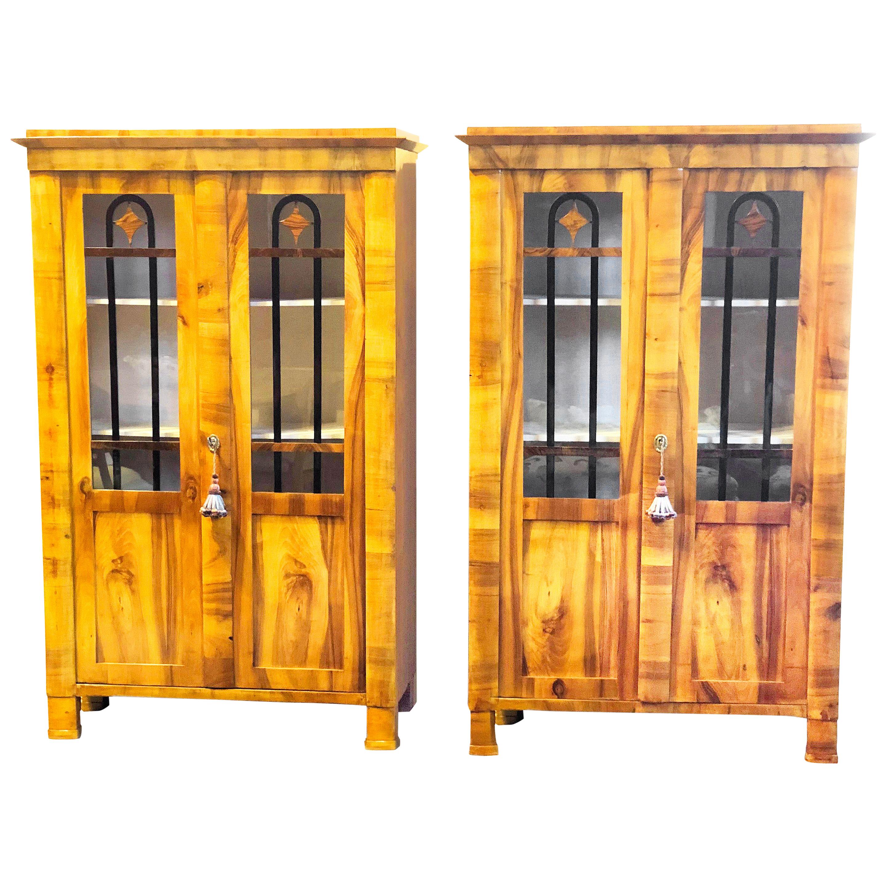 Pair of Biedermeier Early 19th Century Bookcases Display Cabinets