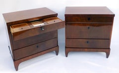 Pair of Biedermeier or Late Empire Dressers, Copenhagen, Denmark, 1830s