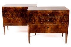 Pair Of Biedermeier Style Dark Walnut Chests