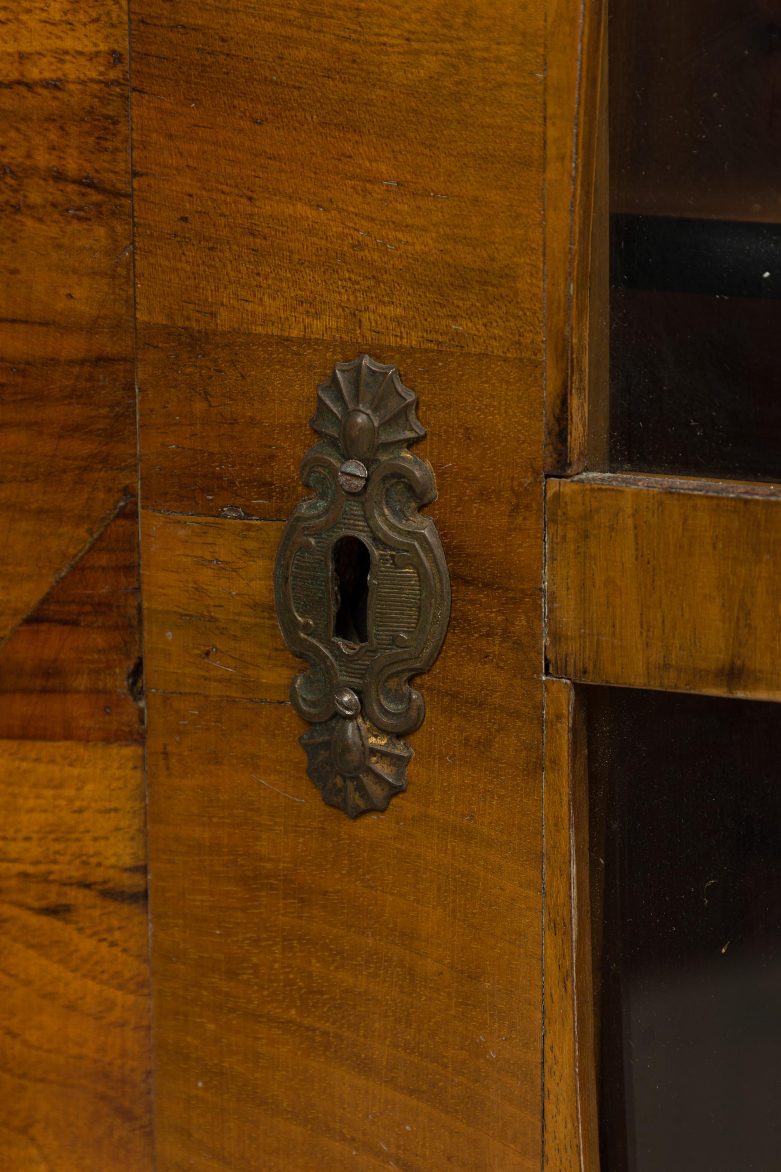 Coppia di armadietti per libri Biedermeier in noce e legno ebanizzato con ante in vetro in vendita 9
