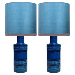 Pair of Bitossi Ceramic Table Lamp with New Silk Custom Made Lampshade