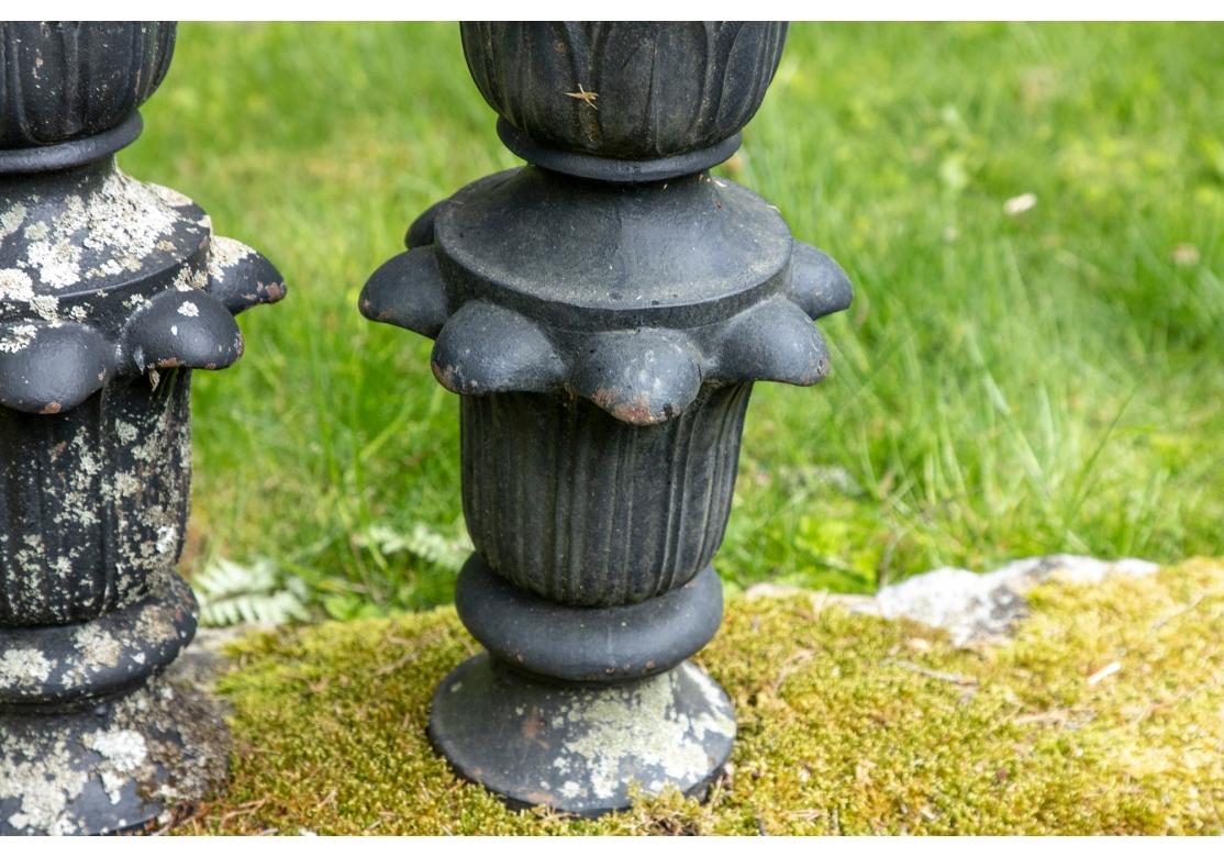 Paire de sculptures de jardin ananas en fonte noire Abîmé à Bridgeport, CT