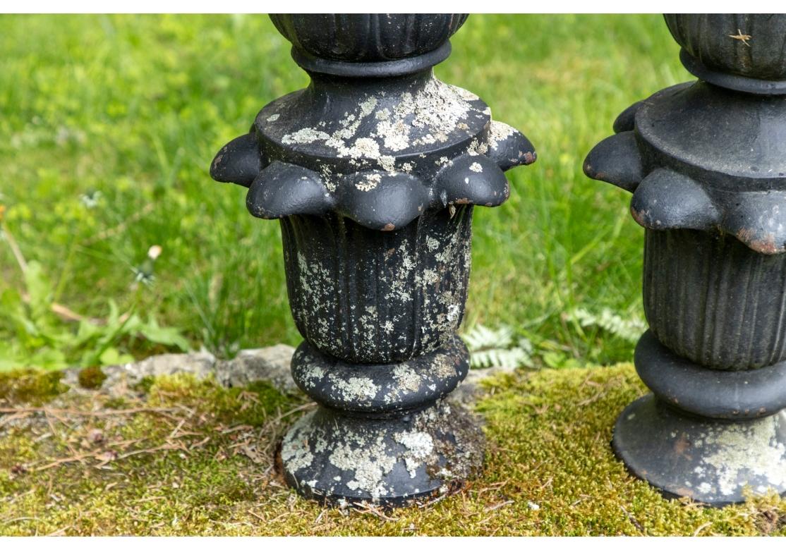 20ième siècle Paire de sculptures de jardin ananas en fonte noire