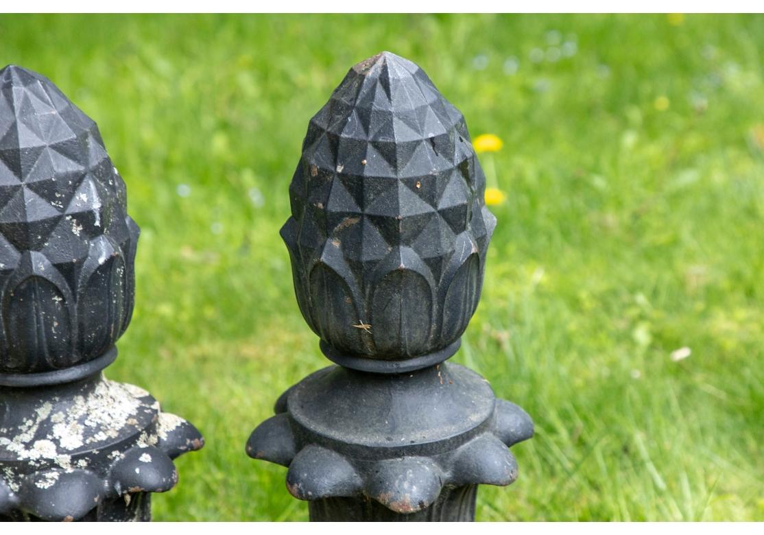 Fer Paire de sculptures de jardin ananas en fonte noire