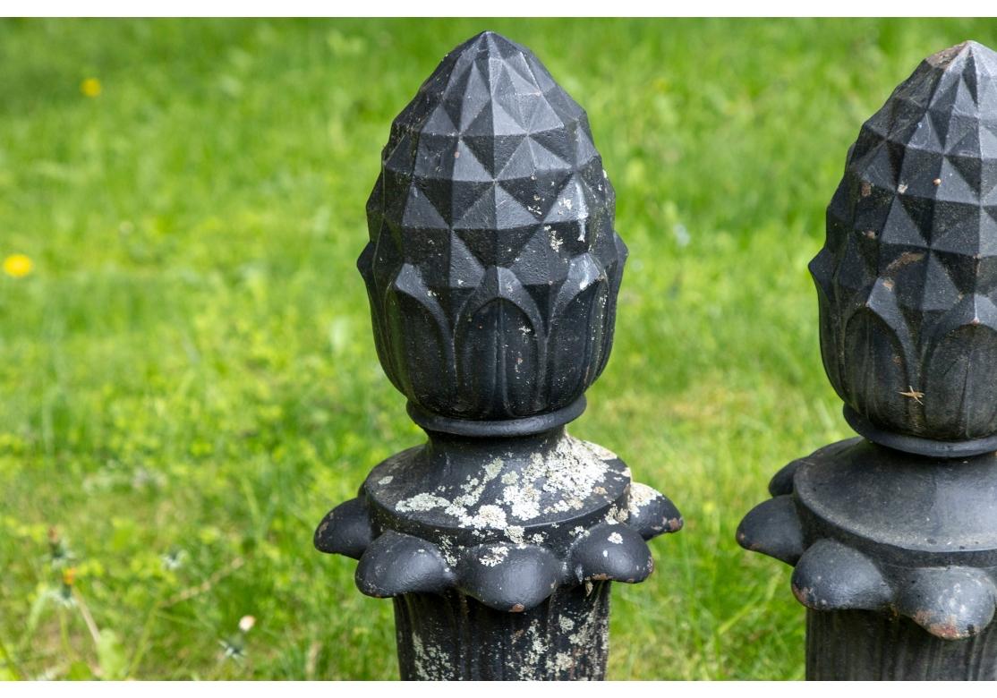 Paire de sculptures de jardin ananas en fonte noire 3