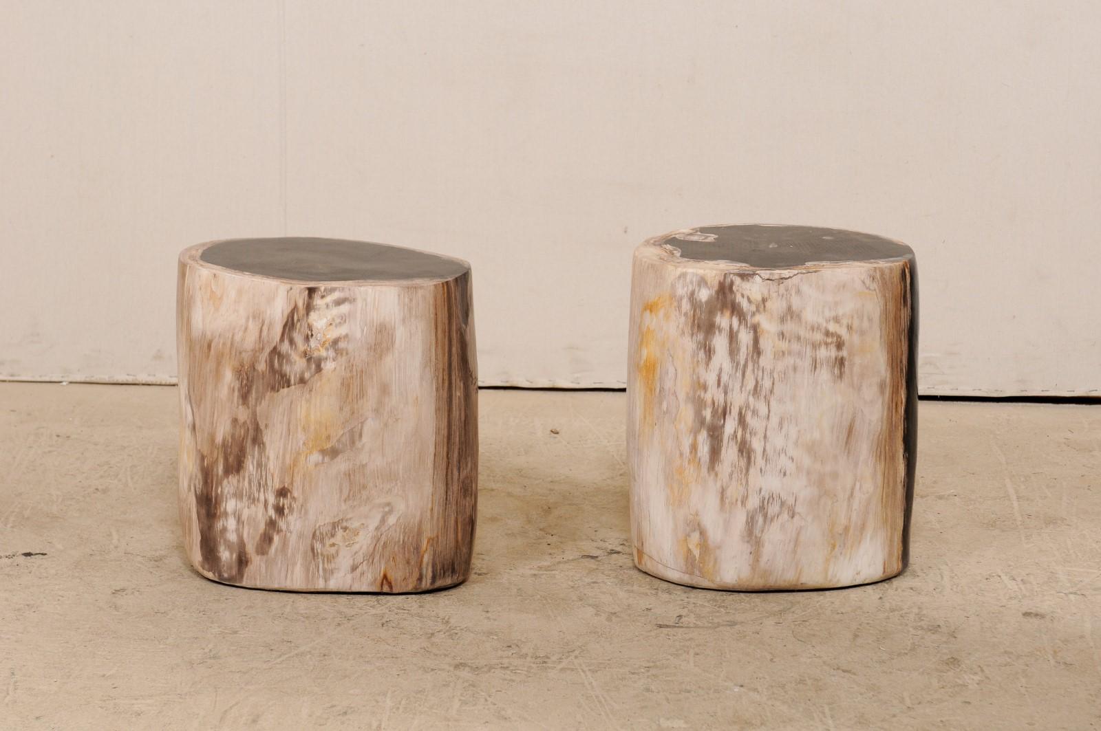 A pair of black and tan petrified wood drinks tables (or stools). This pair of petrified wood drinks tables features a smooth polished finish throughout. These tables have been fashioned from a single piece of petrified wood, which is a fossil. Over
