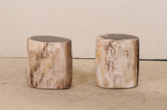 Pair of Black, Cream and Tan Petrified Wood Side Tables