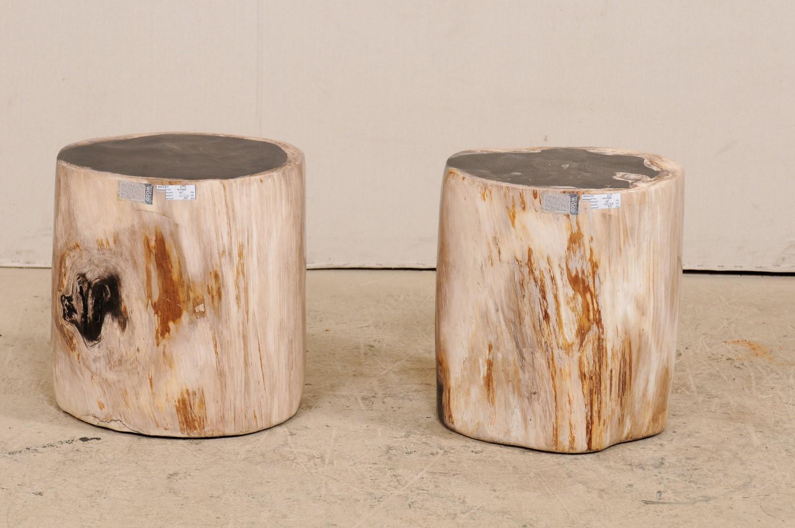 Polished Pair of Black, Cream and Tan Petrified Wood Side Tables