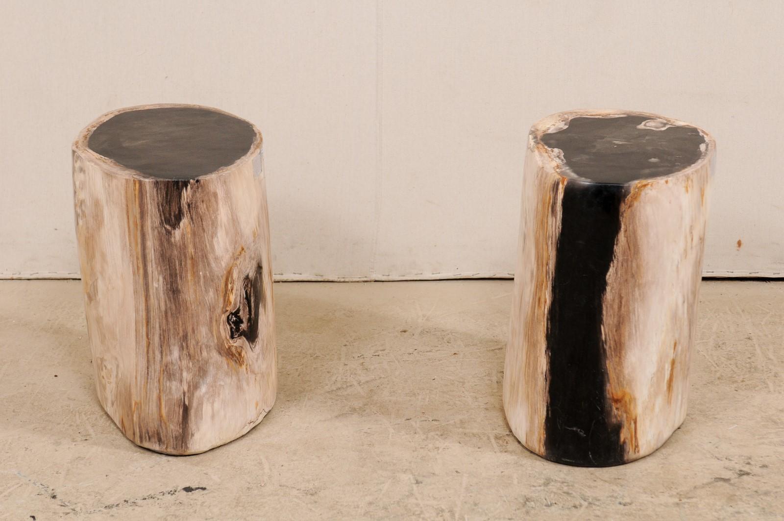 Contemporary Pair of Black, Cream and Tan Petrified Wood Side Tables