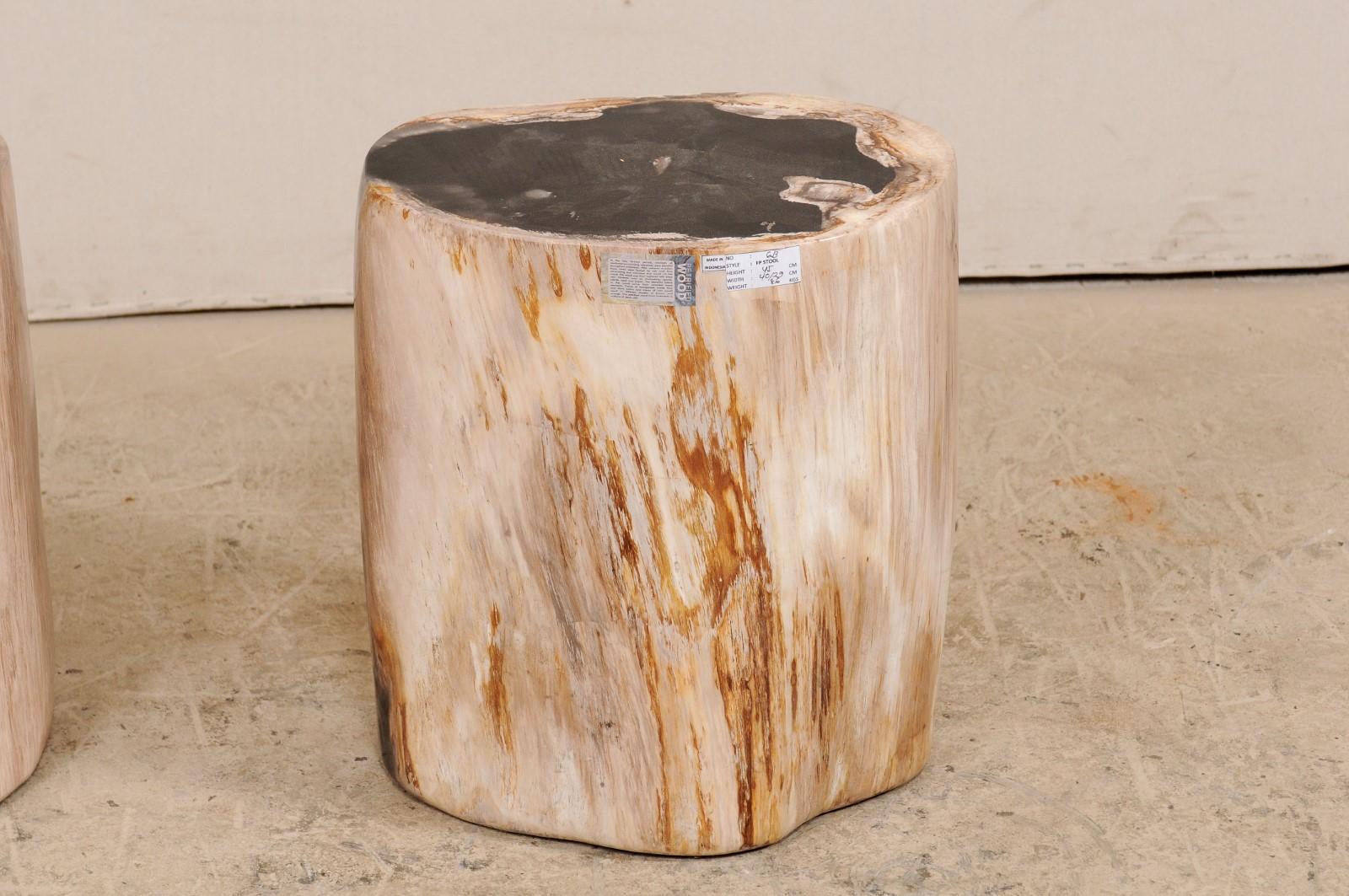 Pair of Black, Cream and Tan Petrified Wood Side Tables 2