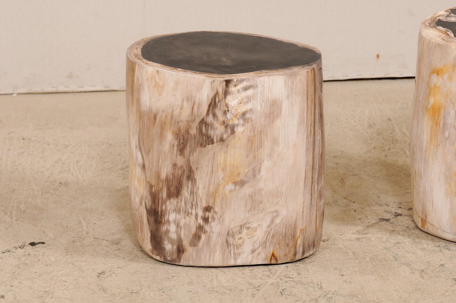 Pair of Black, Cream and Tan Petrified Wood Side Tables 3