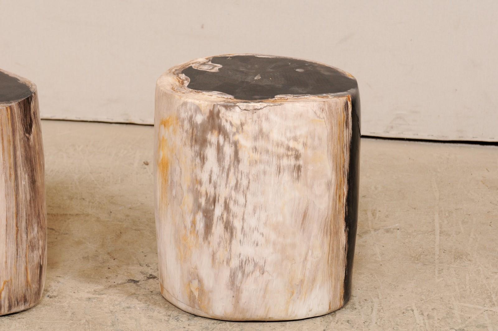 Pair of Black, Cream and Tan Petrified Wood Side Tables 4