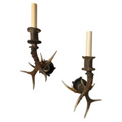 Pair of Black Forest Antler Sconces