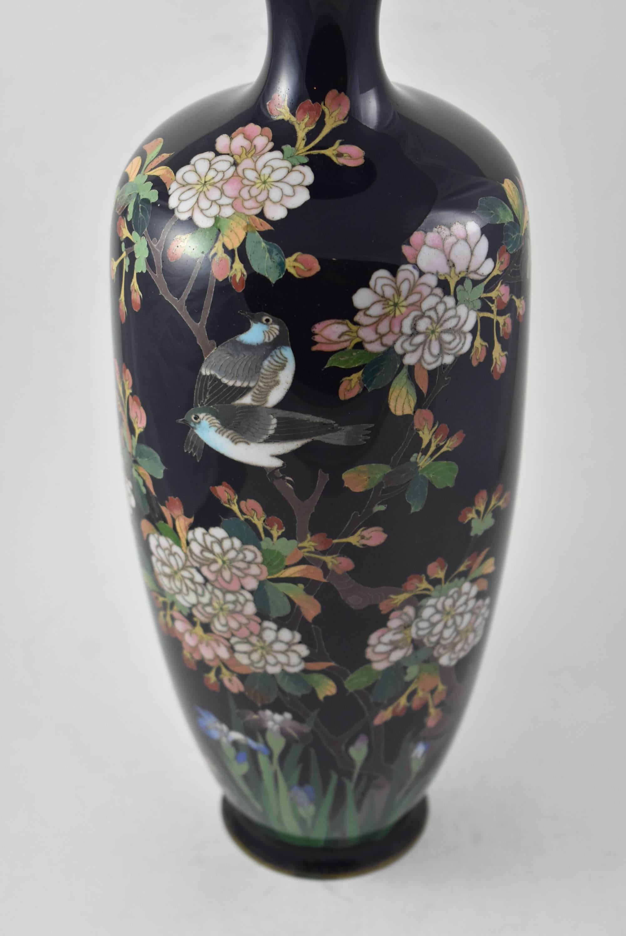 cherry blossom vase