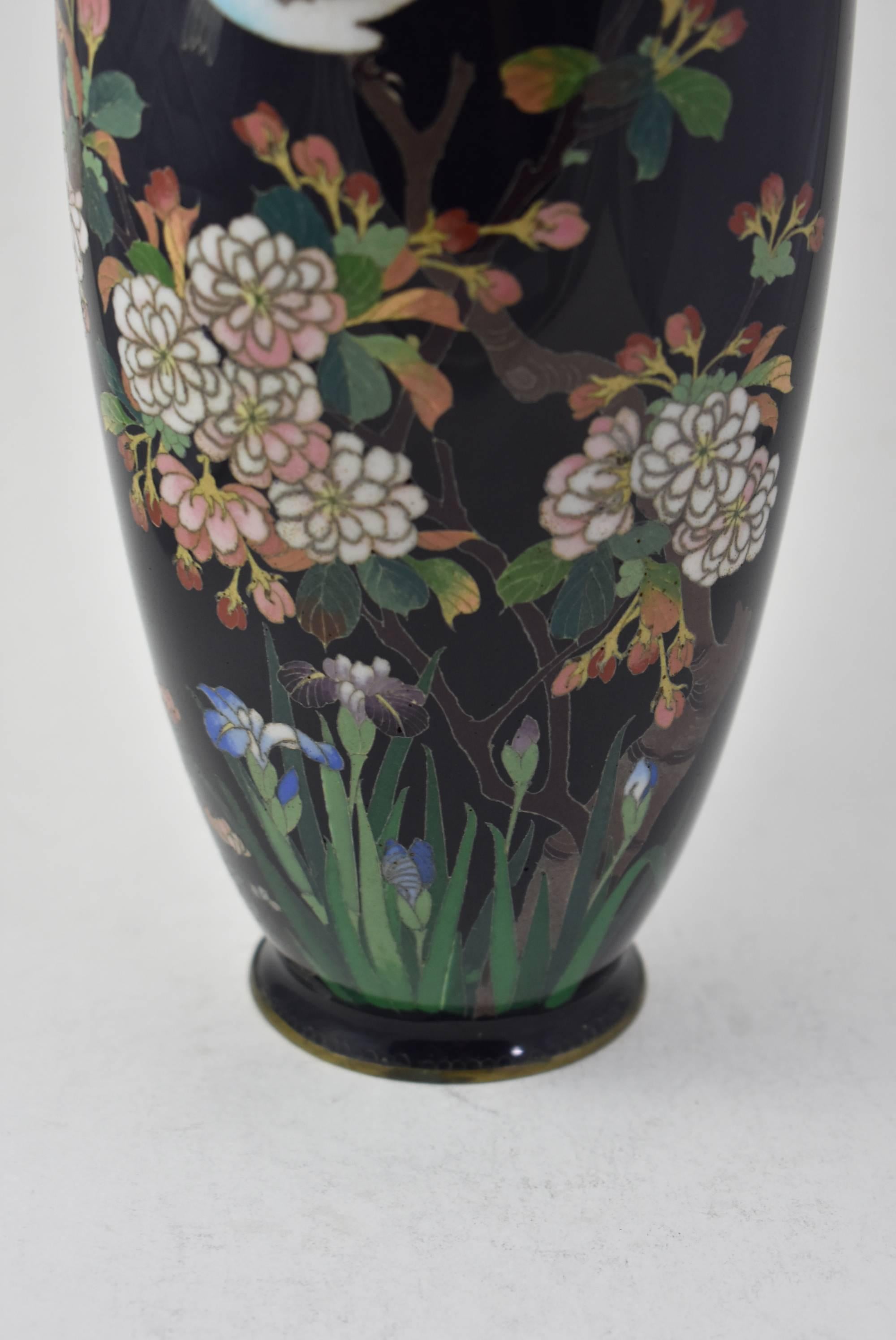 Chinoiserie Pair of Black Japanese Cloisonne Vases with Blue Birds, Cherry Blossoms and Iris