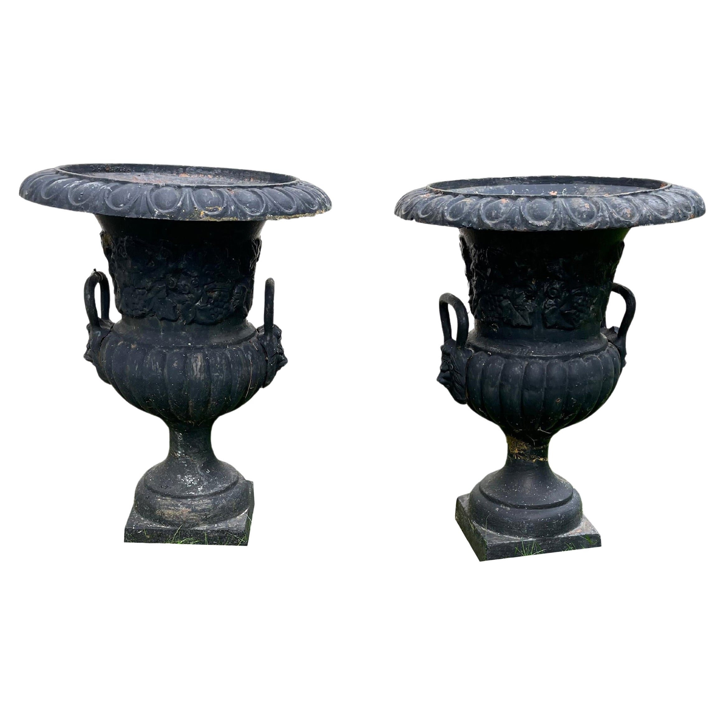 Pair of Black Neoclassical Garden Urns with Lion Mask Decoration