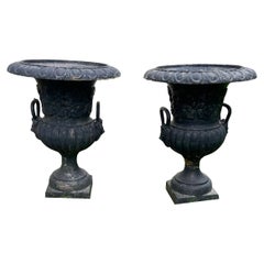 Pair of Black Neoclassical Garden Urns with Lion Mask Decoration