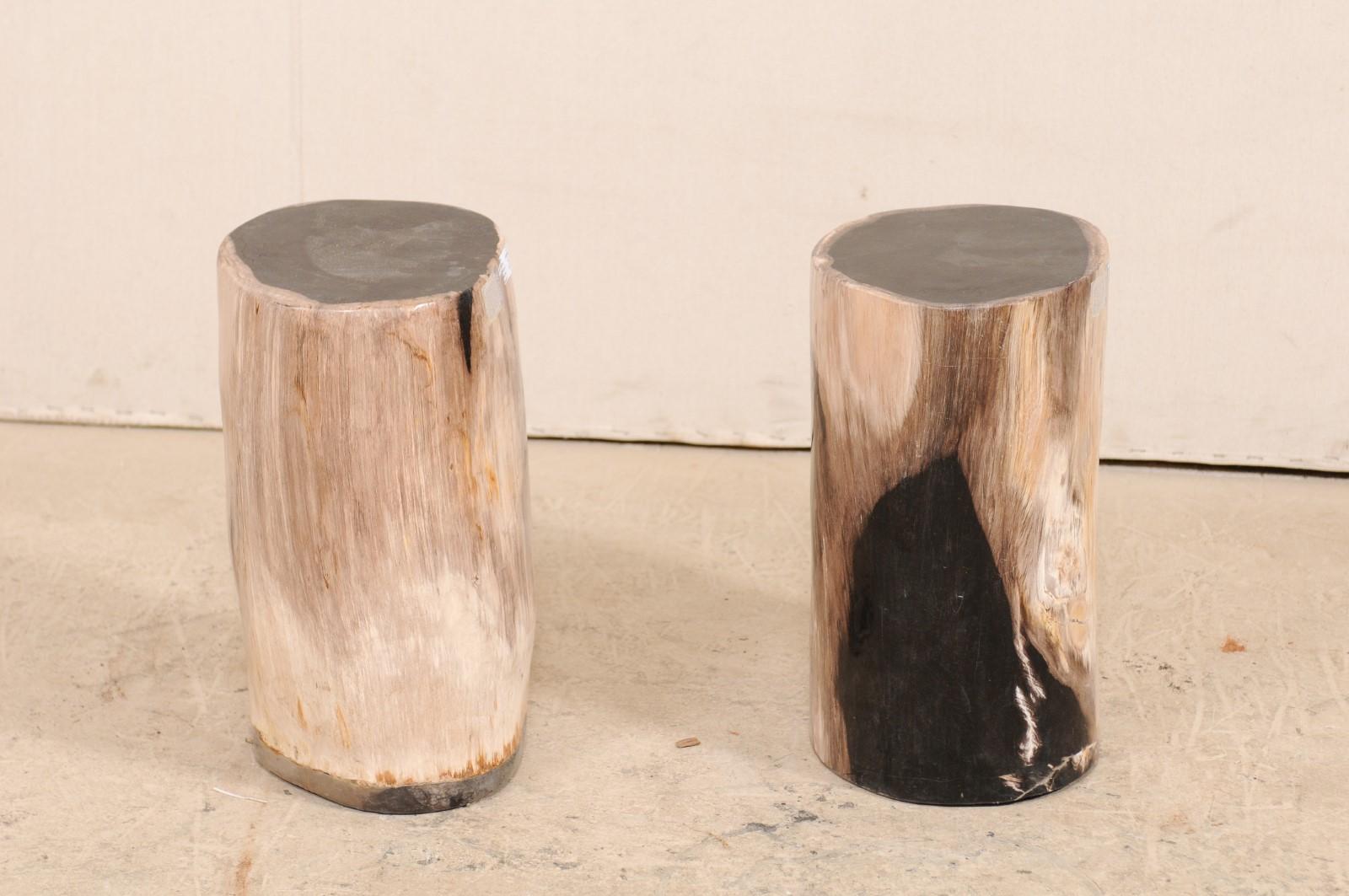 Pair of Black Topped Cream Petrified Wood Drink Tables 4