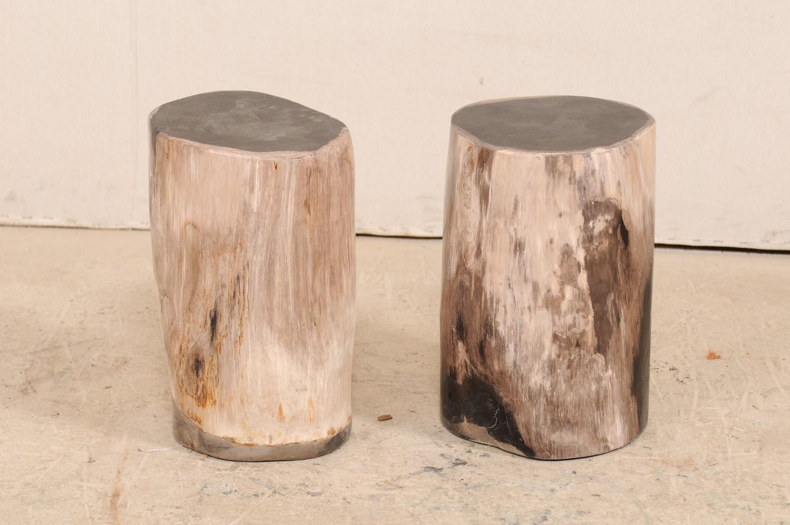 A pair of black topped petrified wood drinks tables (or stools). This pair of petrified wood drinks tables features a polished finish. Petrified wood is a fossil. Over time, the petrified wood becomes so sturdy and dense that it is as heavy as