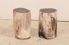 Pair of Black Topped Cream Petrified Wood Drink Tables