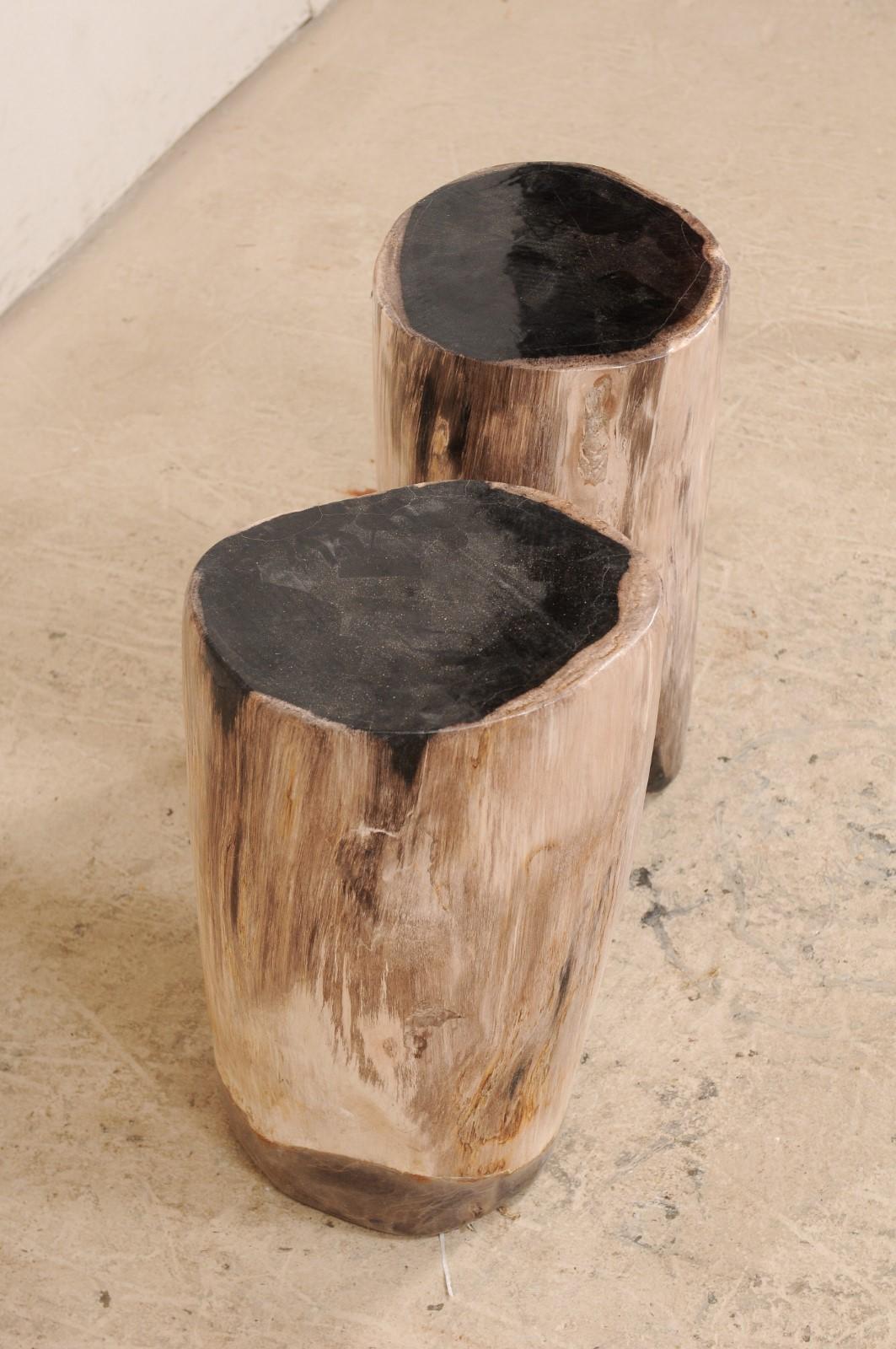 Contemporary Pair of Black Topped Cream Petrified Wood Drink Tables
