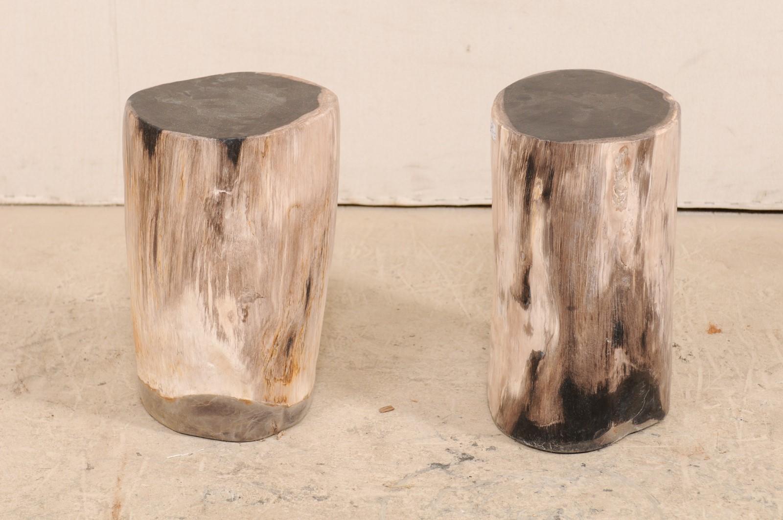 Pair of Black Topped Cream Petrified Wood Drink Tables 1