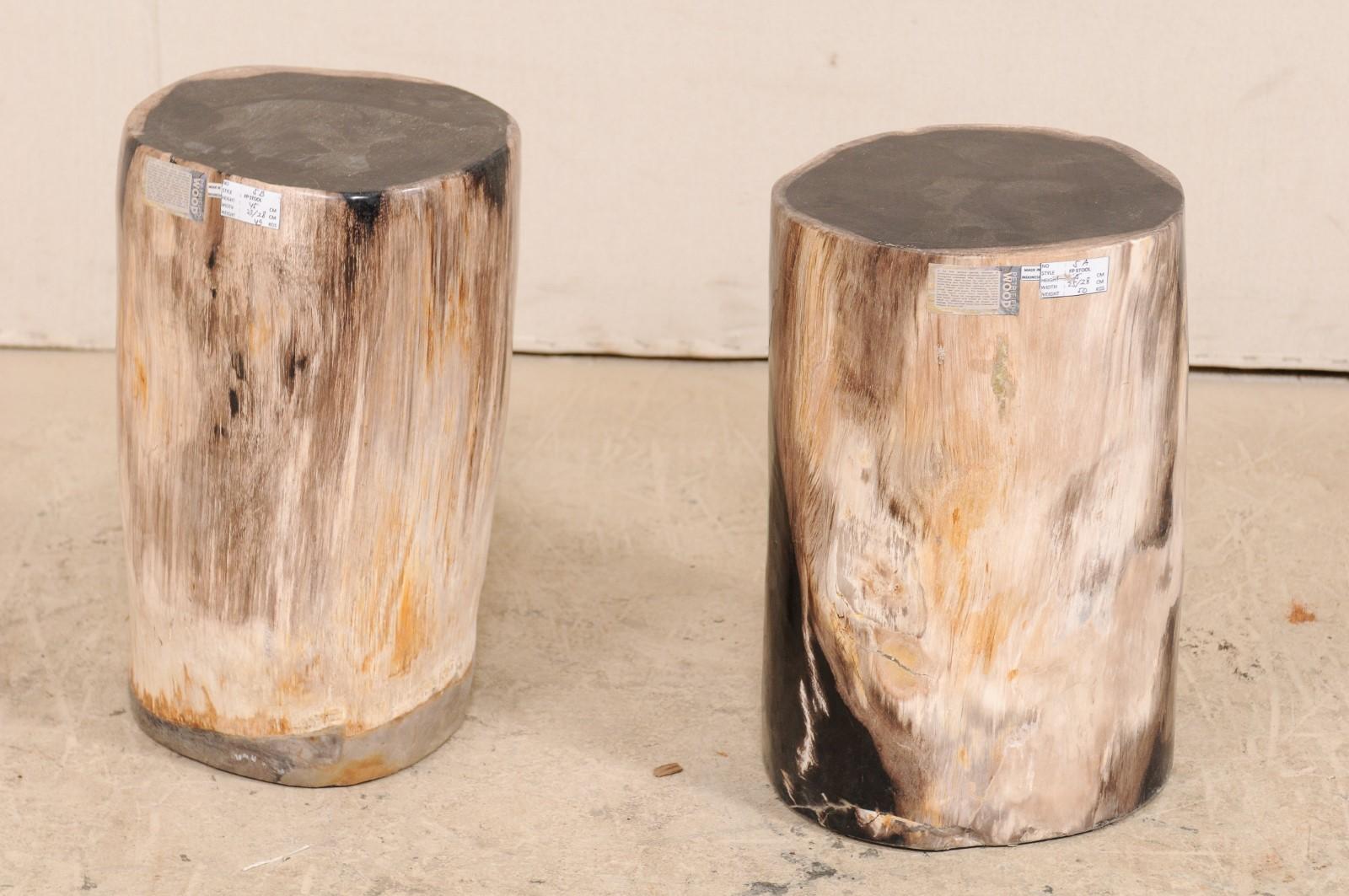 Pair of Black Topped Cream Petrified Wood Drink Tables 2