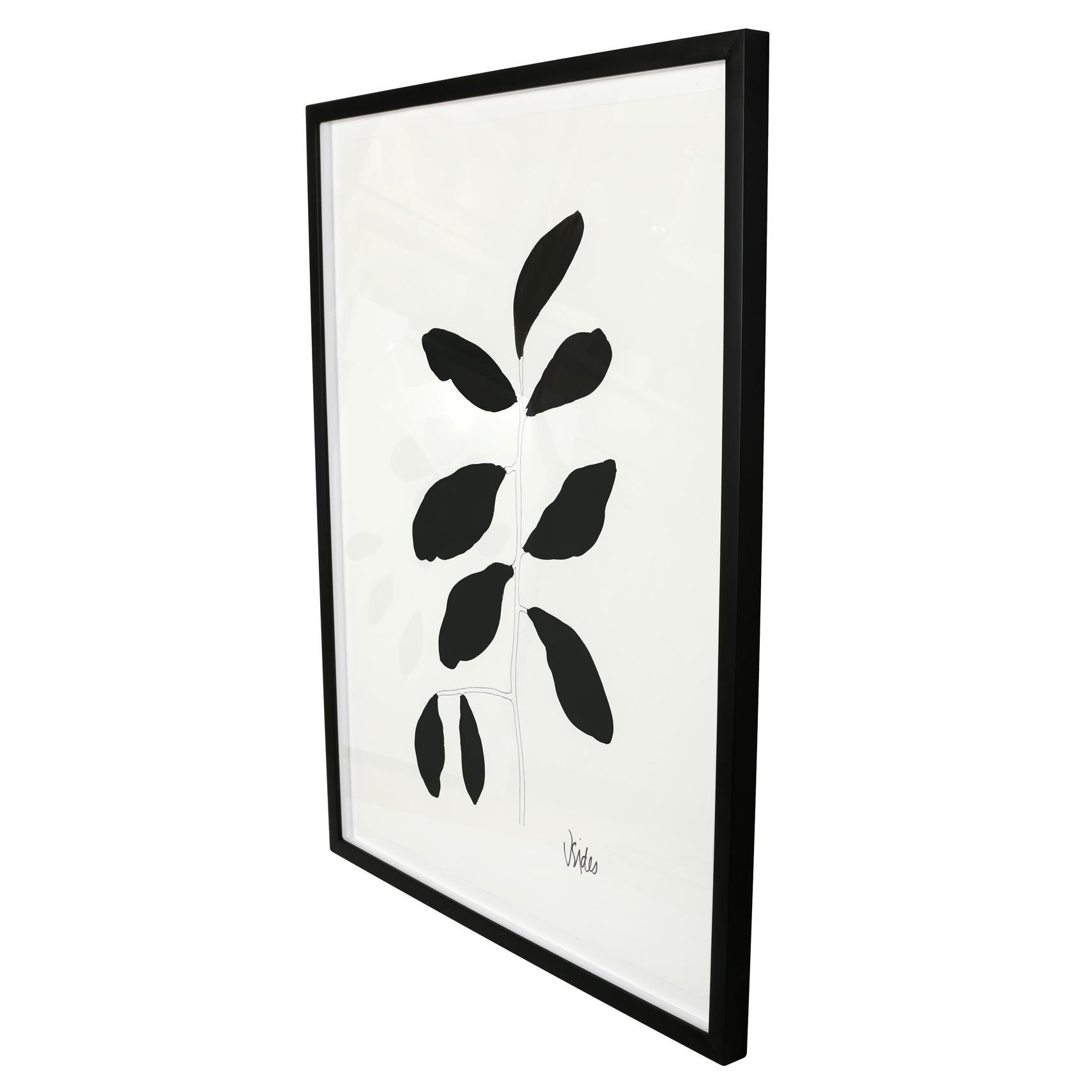 American Black & White Botanical Works on Paper For Sale