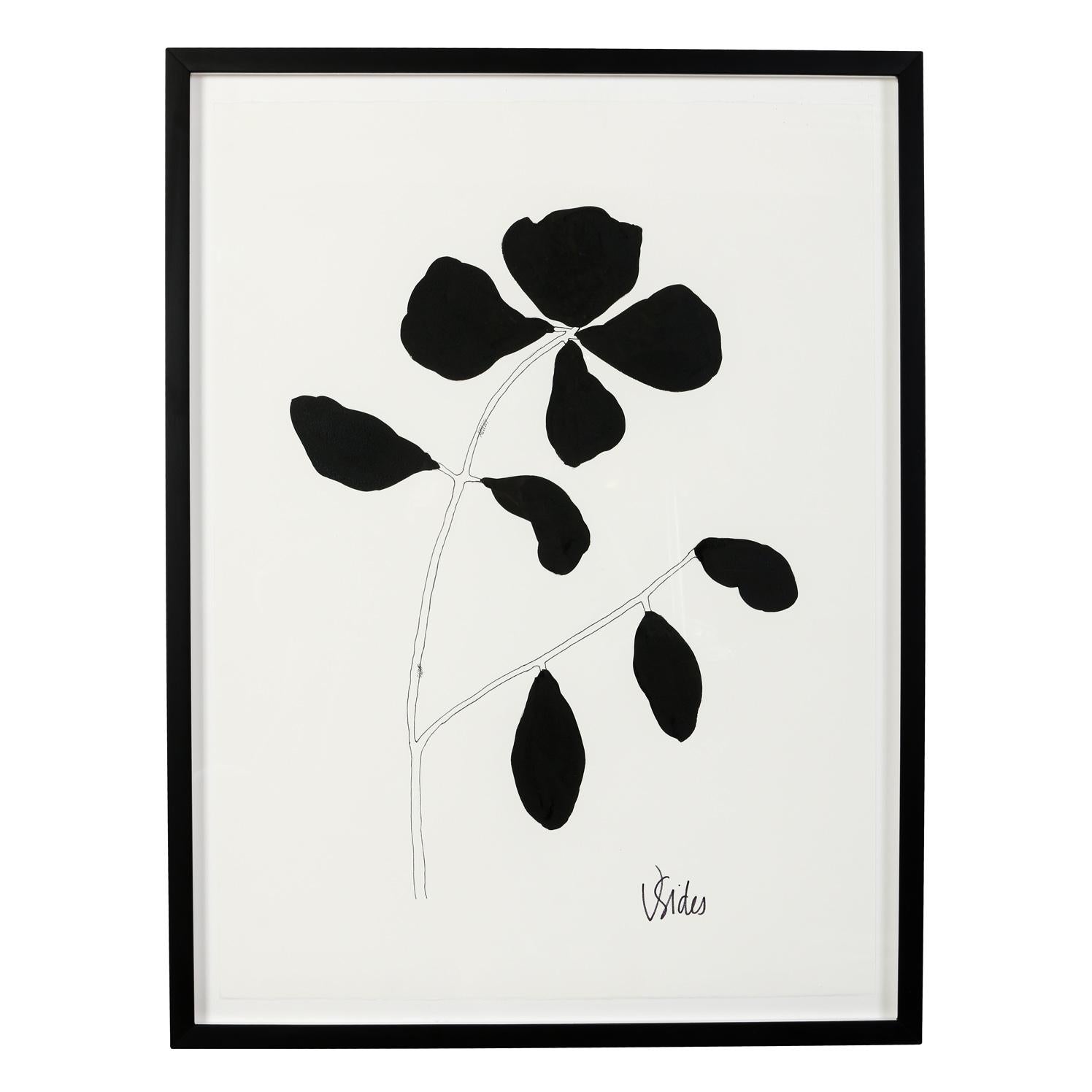 Black & White Botanical Works on Paper For Sale 3