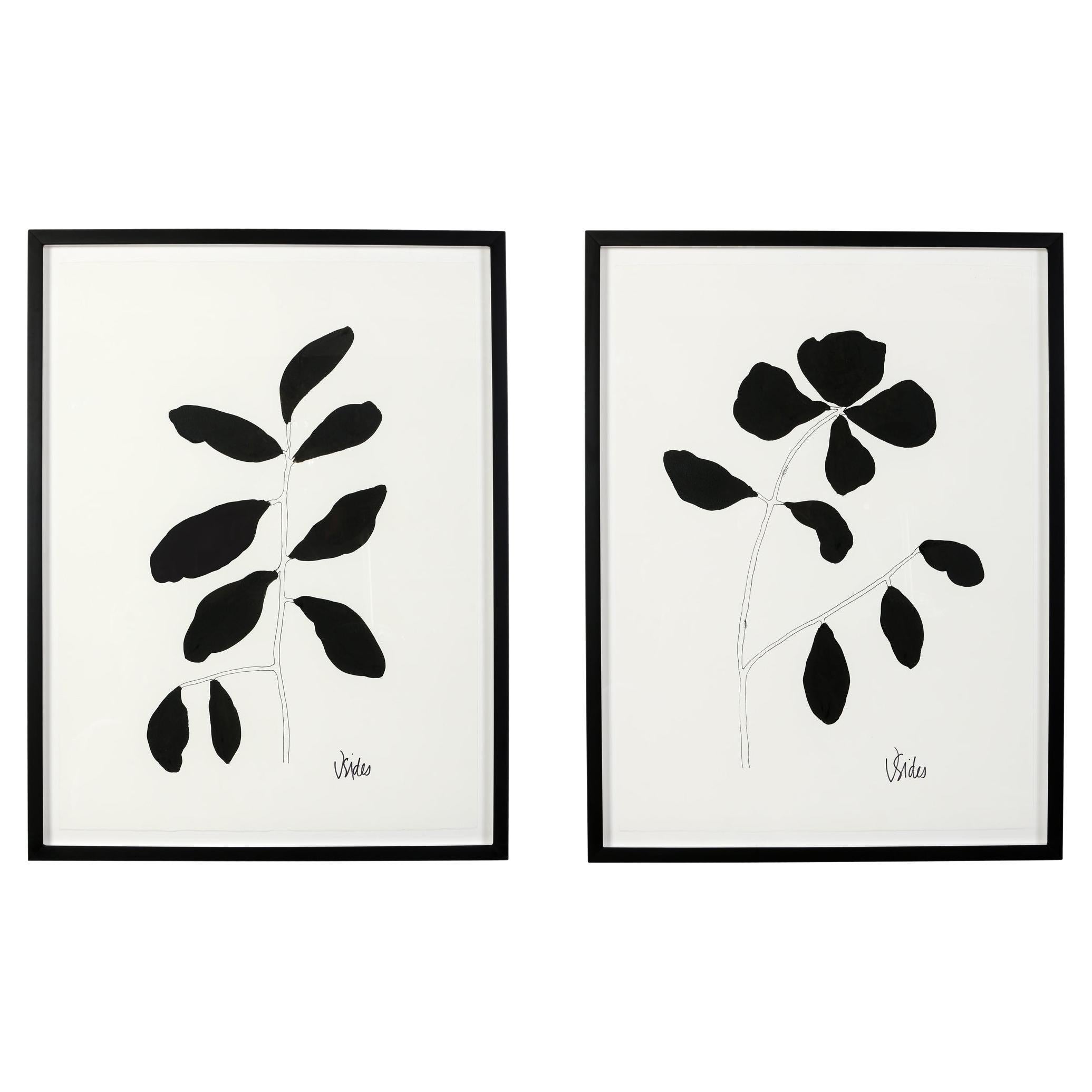 Œuvres botaniques sur papier noir et blanc