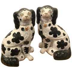 Pair of Black & White Staffordshire Disraeli Spaniels # H2490