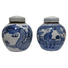 Coppia di vasi in ceramica blu e bianca con drago e motivo ancestrale figurato