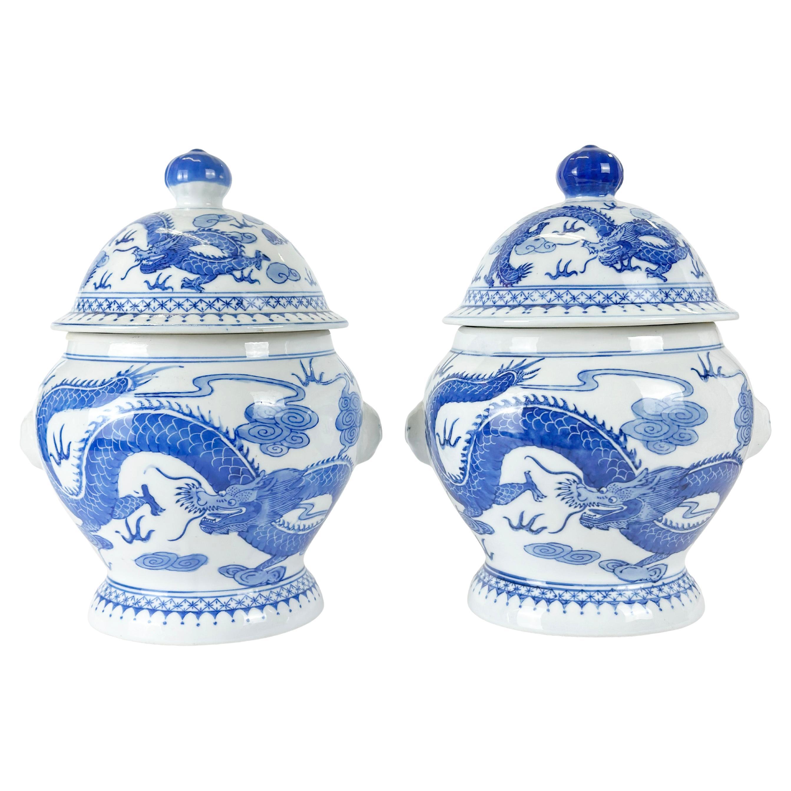 Coppia di barattoli di zenzero in porcellana bianca e blu in stile Qing, anni '80