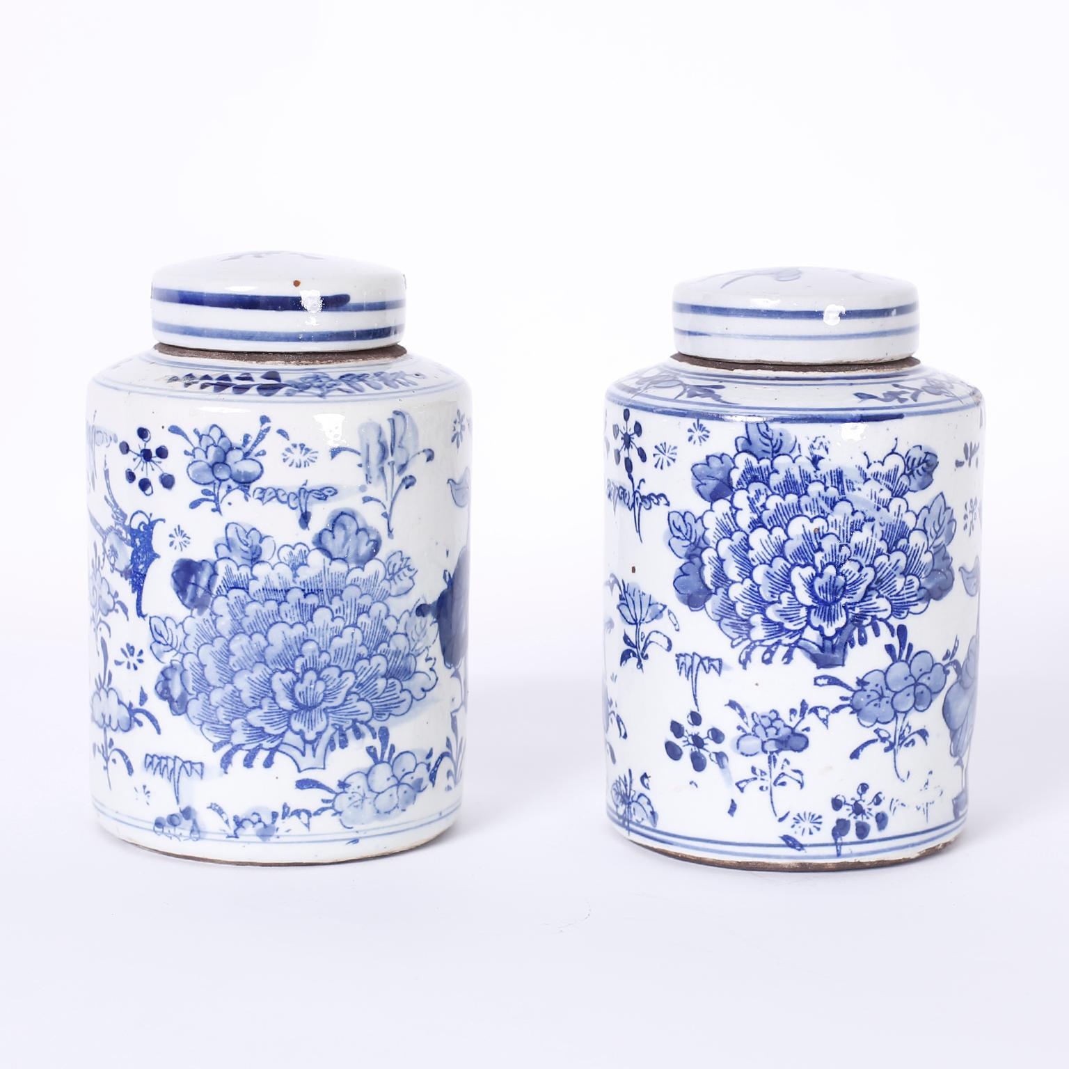 Pair of Chinese blue and white porcelain lidded ginger jars or canisters hand decorated with flowers and humming birds.