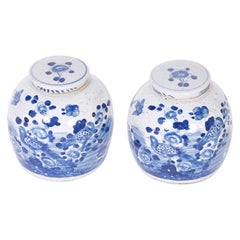 Pair of Blue and White Porcelain Jars with Birds and Flowers