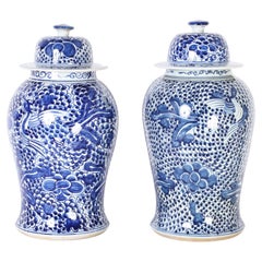 Pair of Blue and White Porcelain Lidded Ginger Jars with Birds & Flowers