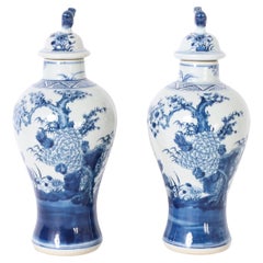 Pair of Blue and White Urns or Jars With Flowers
