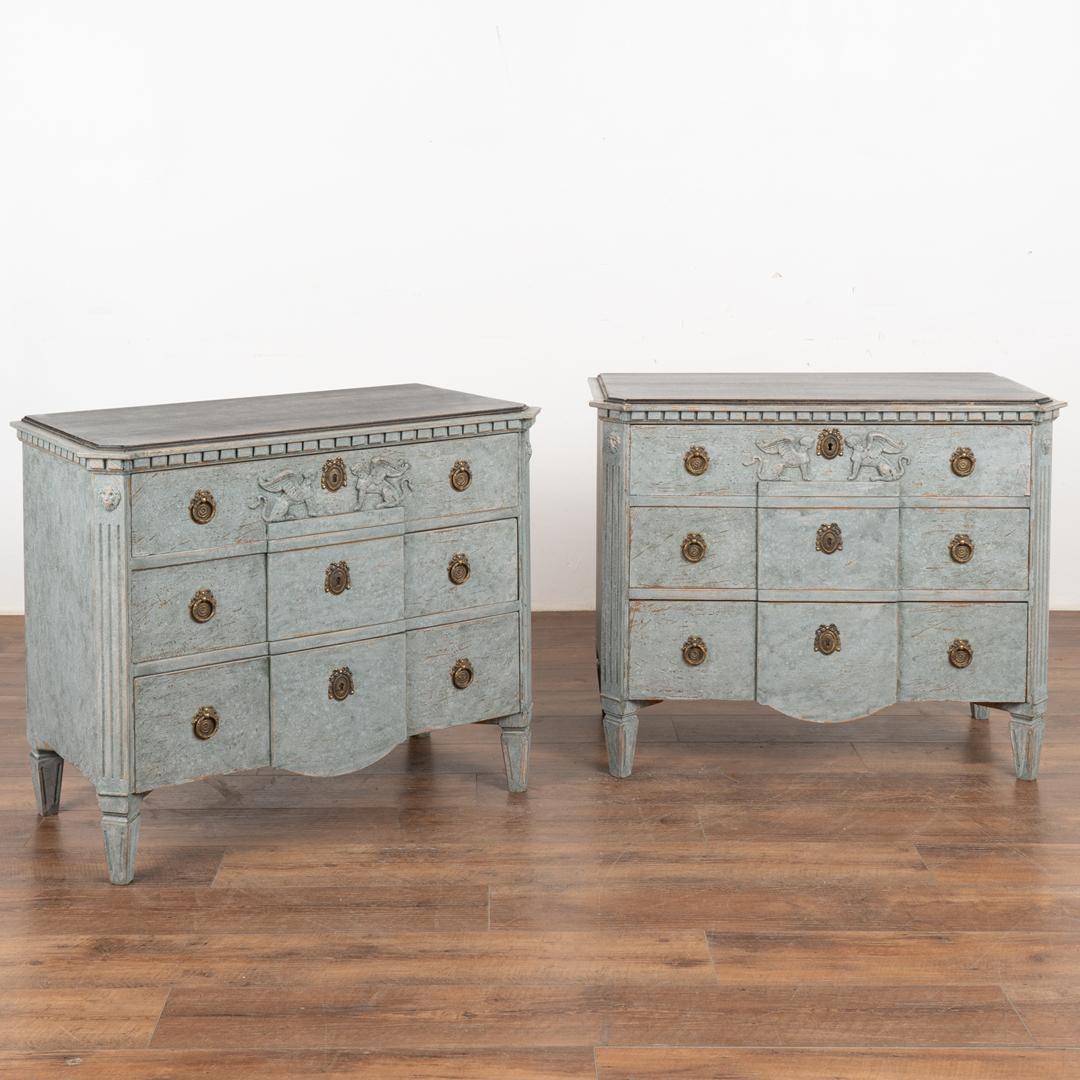 A pair of elegant Gustavian pine chests of three drawers painted in soft blue and contrasting black top with pair of griffins highlighting the upper drawer.
Canted fluted side posts with upper carved lion head medallion, dentil molding, raised on