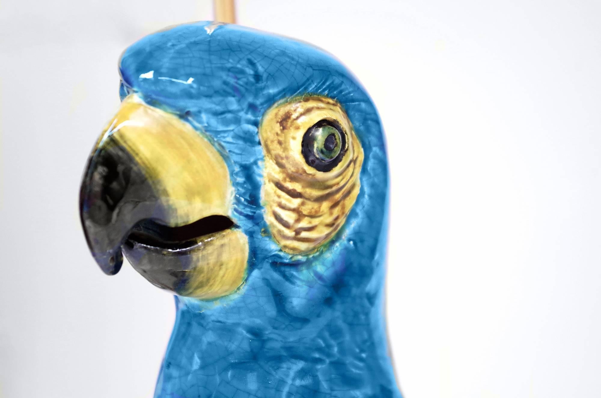 blue parrot lamp