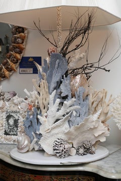 Pair of Blue Ridge Coral Lamps