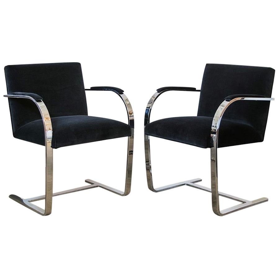 Pair of Blue Vintage Ludwig Mies van der Rohe Flat Bar Brno Chairs