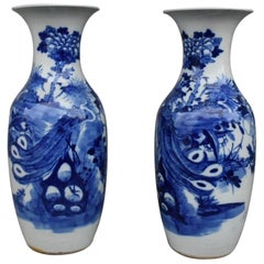 Pareja de jarrones blancos azules de China
