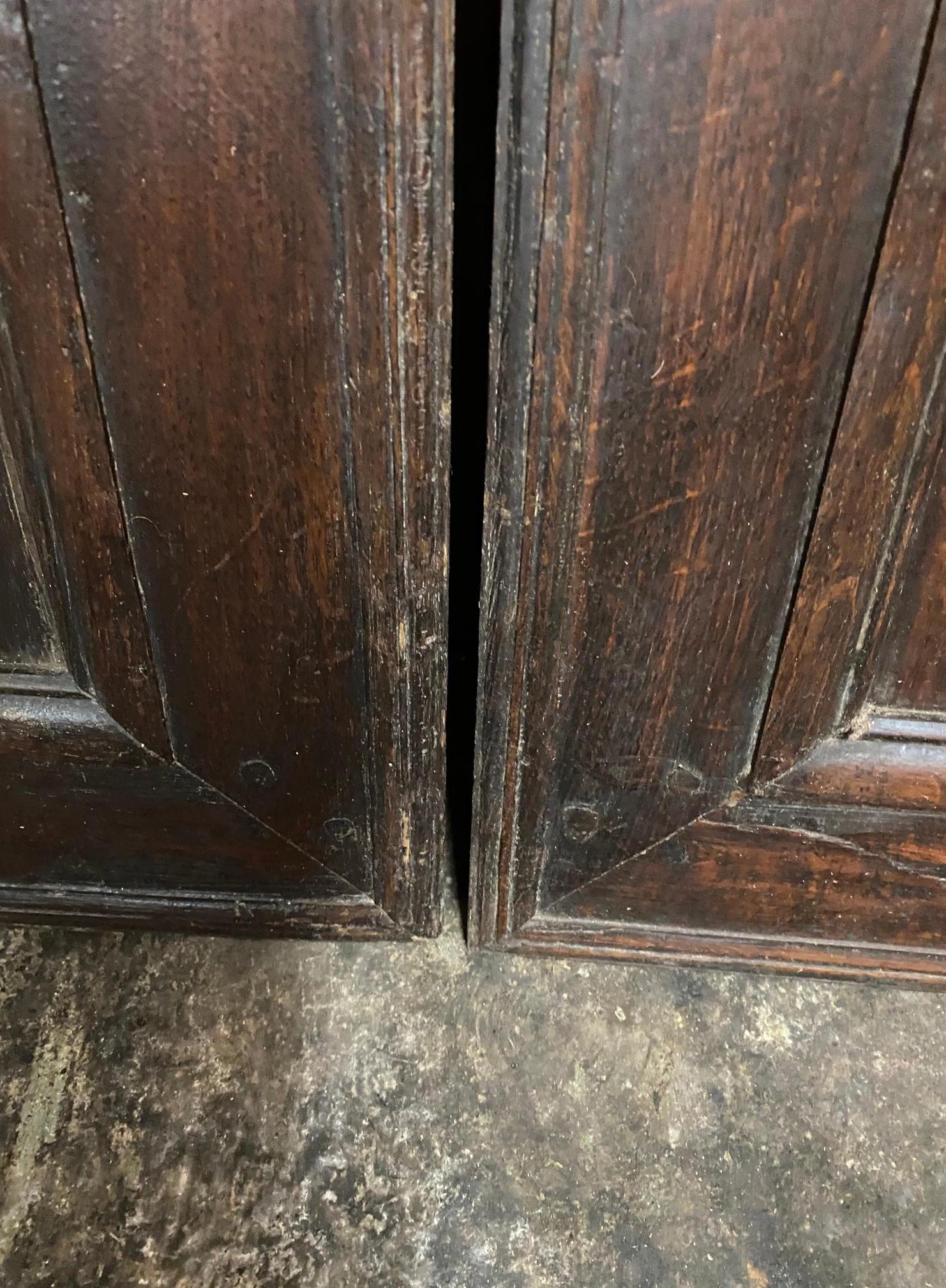 Paire de portes d'armoires Boiserie en vente 1