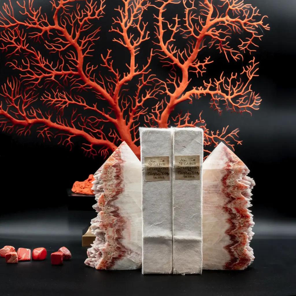 Organico moderno Coppia di reggilibri - Calcite in vendita